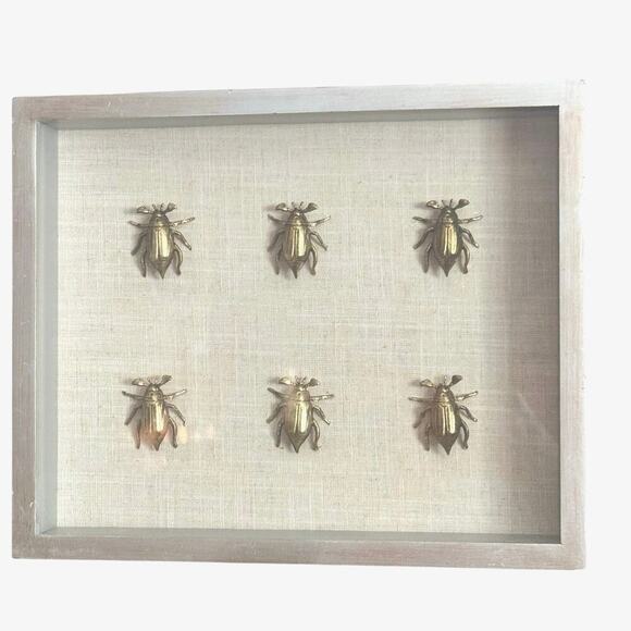 Brass Beetle Shadow Box Wall Art – Framed Insect Display - Picture 1 of 3